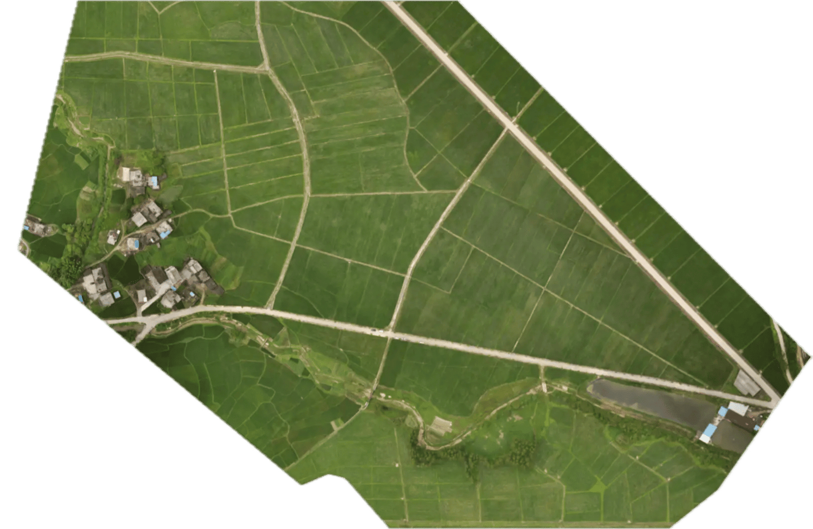 Agricultural Survey Clear Farm Drone Service